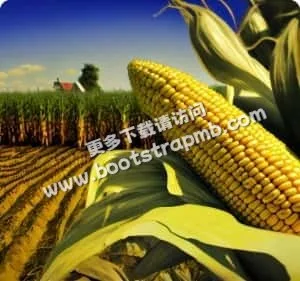 打造您的专属娱乐空间 - 问鼎娱乐直播APP