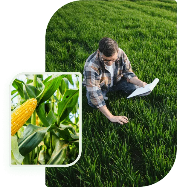 新手老玩家皆宜，个性化推荐 - 问鼎娱乐直播APP
